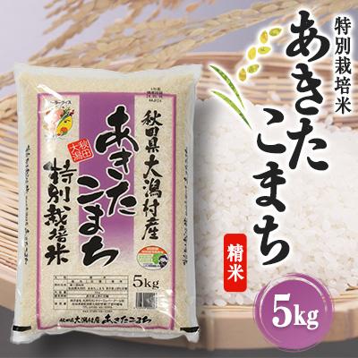 ふるさと納税 大潟村 あきたこまち特別栽培米 精米5kg