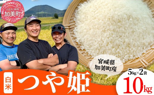 先行予約（2026年10月中旬～発送） 令和8年産【精米】【10kg】 米 宮城県産 つや姫  ブランド米 白米 精米 ご飯 ごはん コメ こめ お米 小分け 家庭用 結心ファーム [ 宮城県 加美町 ]  | yu-th10-r8
