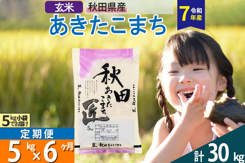 【玄米】＜令和7年産＞ 《定期便6ヶ月》秋田県産 あきたこまち 5kg (5kg×1袋)×6回 5キロ お米 匠 |02_snk-020306s