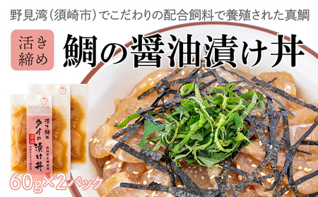 漬け丼セット 5種類 各2パック 計 10 セット お茶漬け 鰹 の タタキ かつお カツオ サバ さば 鯖 真鯛 鯛 たい タイ カンパチ 勘八 ブリ 鰤 海鮮 丼 漬け丼  高知県 須崎市