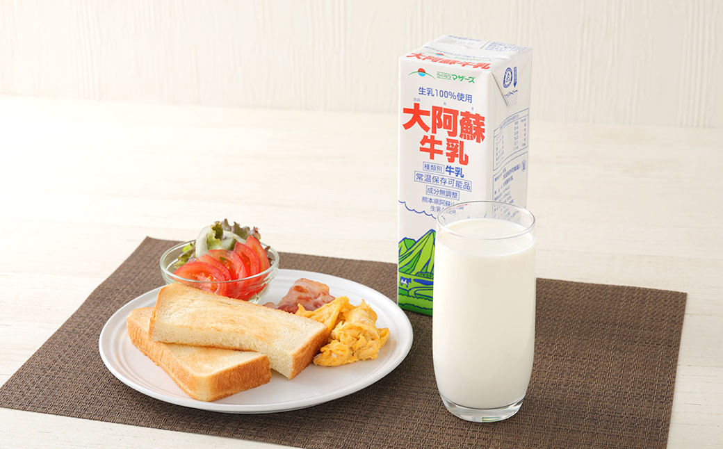 【12ヶ月定期便】大阿蘇 牛乳 1L×6本×12回 合計72L 1000ml 紙パック ミルク 成分無調整 