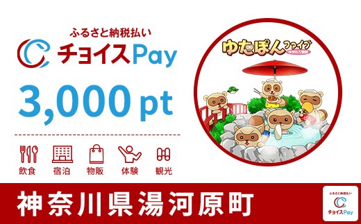 
                  湯河原町チョイスPay 3,000pt【会員限定のお礼の品】
                