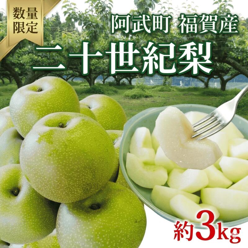 【ふるさと納税】【先行予約】二十世紀梨 梨 なし 3kg（7玉） 山口県阿武町産 高糖度・シャキシャキ食感 フルーツ 2026年8月下旬～9月中旬発送 数量限定