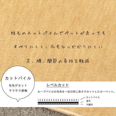 ふるさと納税 和泉市 カーペット 日本製 厚手 防ダニ 防音ペットもよろこぶ 261×352cm 江戸間 6畳 ベージュ |  | 01