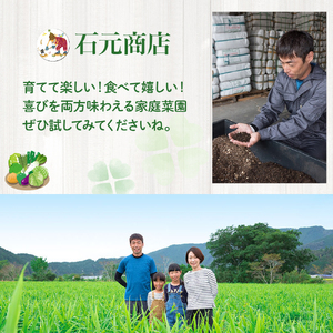 ベランダでも育てられるサラダほうれん草栽培キット　Fis-A06 趣味 ガーデニング 家庭菜園 園芸 ベランダ菜園 プランター 種 種子 プロ仕様の肥料 培養土 サラダに