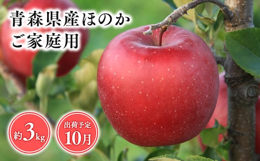 
										
										１０月発送 【訳あり】家庭用ほのか3ｋｇ 【そと川りんご園・１０月・青森県産・平川市・りんご・ほのか・3ｋｇ・訳あり・家庭用】
									