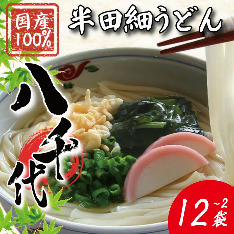 【ふるさと納税】 うどん 半田細うどん 選べる 2～12袋 《 丸亀 さぬき にない つるもち感！》 手延べ うどん 饂飩 麺 めん 乾麺 そうめん 素麺 徳島県 つるぎ町 八千代麺業