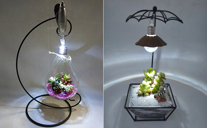多肉植物　アジアン・プランツパラソルとナイトテラリウム電球のセット インテリア 照明 ライト 　※2025年7月中旬頃より順次発送予定　※離島への配送不可