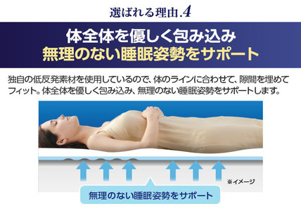 トゥルースリーパー プレミアリッチpr2 セミダブル寝具