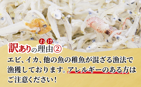 訳あり ちりめん 1kg しらす 干し 冷蔵 産地直送 国産 徳島県産 和田島産 ちりめんじゃこ 規格外 魚 魚介類 魚介 乾物 サラダ チャーハン おつまみ テッパン返礼品 ( 大人気ちりめん 人気