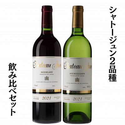ふるさと納税 甲州市 シャトージュン　2品種飲み比べセット　C5-670