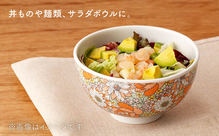 肥前吉田焼 軽々丼ぶりセットNAZ408 