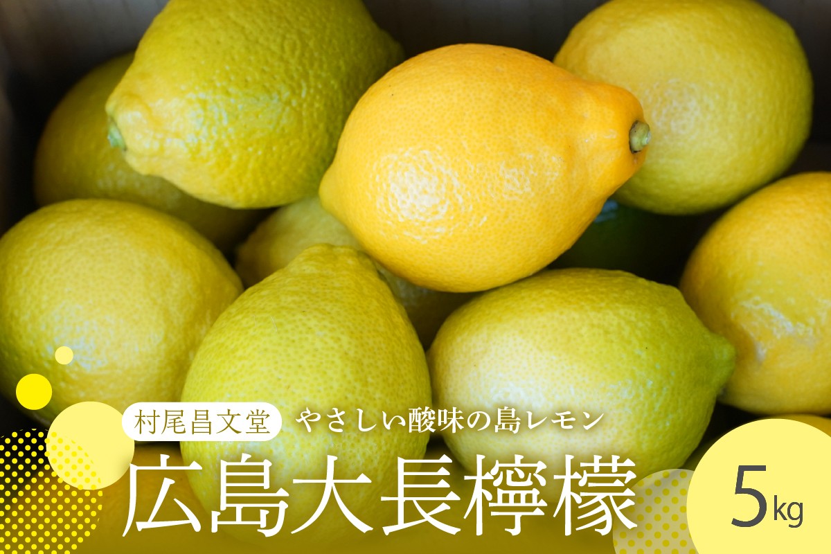 
            【2025年11月上旬～発送】国産檸檬（レモン）発祥の地　広島大長檸檬　5kg ku012-014-25
          