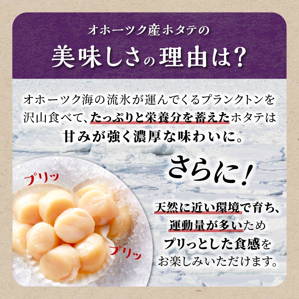 【数量限定】【訳あり】オホーツク産お刺身用ホタテ【1kg】※袋はファスナー付きだからとっても便利※_K021-0488