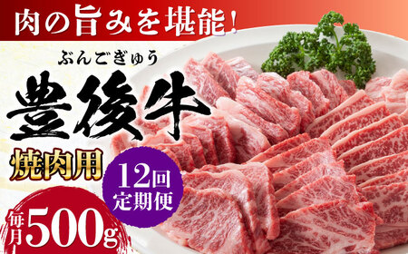 【全12回定期便】おおいた豊後牛 焼肉用 500g / 焼肉 焼肉 焼肉 焼肉 焼肉 焼肉 / 日田市 / 株式会社MEAT PLUS[AREI100]
