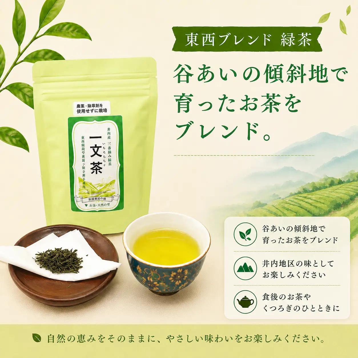 〈 新茶 〉 緑茶 東西ブレンド 40g × 3袋 茶葉 【 一文茶 】