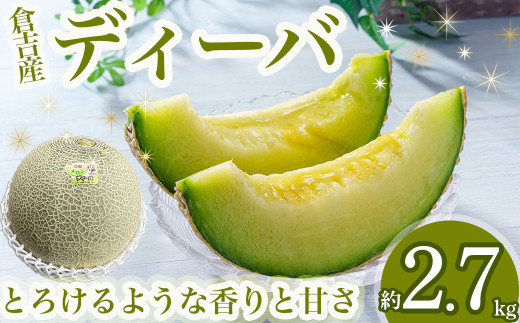 ディーバメロン 約2.7kg（10月発送）【倉吉産】 鳥取 果物 フルーツ メロン ディーバメロン 数量限定 期間限定 鳥取県 倉吉市