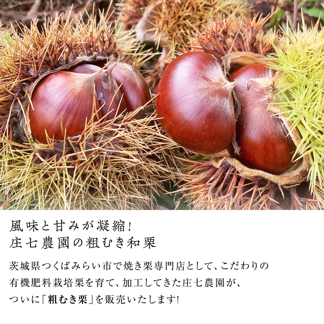 熟成で糖度の上がった 粗むき栗 800g (200g × 4) ( 冷凍真空包装 ) 栗 栗ご飯 むき栗 栗 和栗 フルーツ 秋の味覚 お手軽 [BK45-NT]
