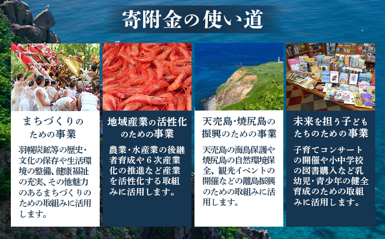 北海道羽幌町への応援寄付　返礼品なし　1口 1,000円【99001】