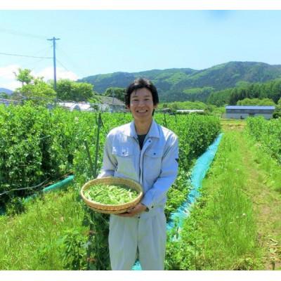 ふるさと納税 遠野市 遠野もぐもぐ 夏野菜 セット Mサイズ 約9〜12種類【3.5kg 以上保証】遠野もぐもぐカントリー |  | 03