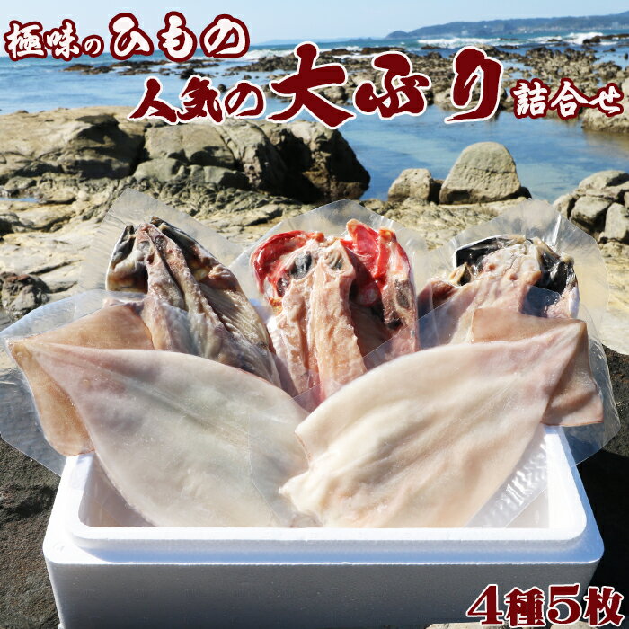 【ふるさと納税】【極味のひもの】特選！人気干物詰合せ 大ぶり3種＋いか一夜干し2枚　[0015-0071]