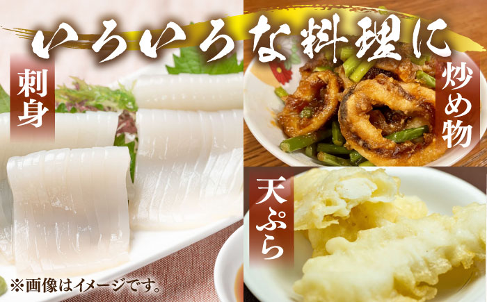 刺身用 剣先イカ 10杯（約2kg）（急速冷凍）《壱岐市》【魚助】 イカ いか 剣先いか ケンサキイカ 刺身 刺し身 お刺身 鮮魚 海鮮 [JFX001]