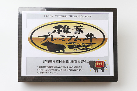 宮崎県産 椎葉プレミアム牛 サーロイン【400g】お試しステーキソース付き