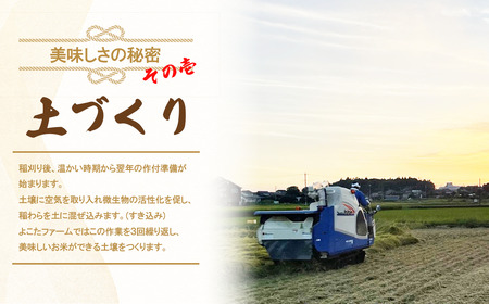 ☆令和7年産☆ コシヒカリ(玄米)　5kg | 米 こしひかり