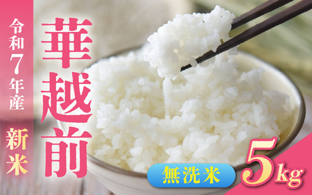 【先行予約】令和7年産新米　福井市産はなえちぜん 5kg【無洗米】「2025年8月下旬より順次発送」 [A-094013] / ハナエチゼン 華越前 花えちぜん 刈り取り時期 早生 品種 福井県産 新米 令和七年 7年 七年 ご飯 お米 白米 ブランド米 コメ こめ 精米 白米 無洗米 5キロ