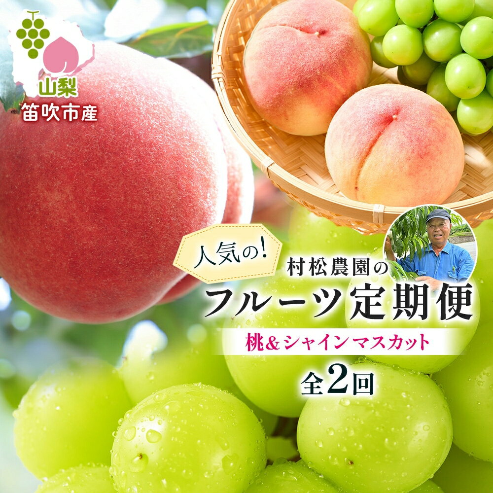 【ふるさと納税】【2026年発送★先行予約】【定期便全2回】桃 シャインマスカット 人気のフルーツ定期便 村松農園 もも モモ 白桃 ぶどう ブドウ 旬 産地直送 大玉 完熟 果物 フルーツ 新鮮 人気 美味しい 贈答 ギフト お中元 村松農園 送料無料 笛吹市 177-5-012