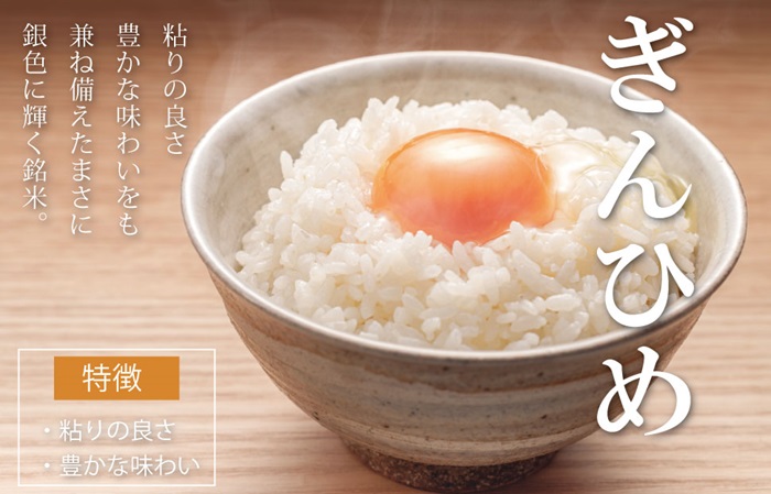 三重県産 コシヒカリ ぎんひめ 精米 5kg ふるさと納税 ふるさと 米 コメ こめ おこめ ギフト プレゼント 贈答 贈り物 御祝い お祝い返礼品 人気 お取り寄せ 三重米 お米 新米 白米 ブラン