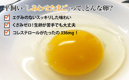 【3回定期便】 平飼い しあわせ たまご 40個＜松本養鶏場＞ [CCD024] 卵