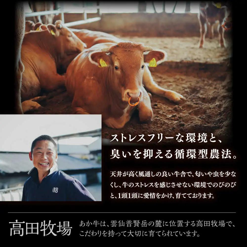 【希少】雲仙 あか牛 ハンバーグ 3個 (150g×3個) / 加熱済 国産 長崎和牛 牛 牛肉 加工品 冷凍 / 南島原市 / 株式会社高田牧場[SGQ004]