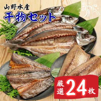 ふるさと納税 日南市 山野水産 干物 セット 24枚 詰め合わせ