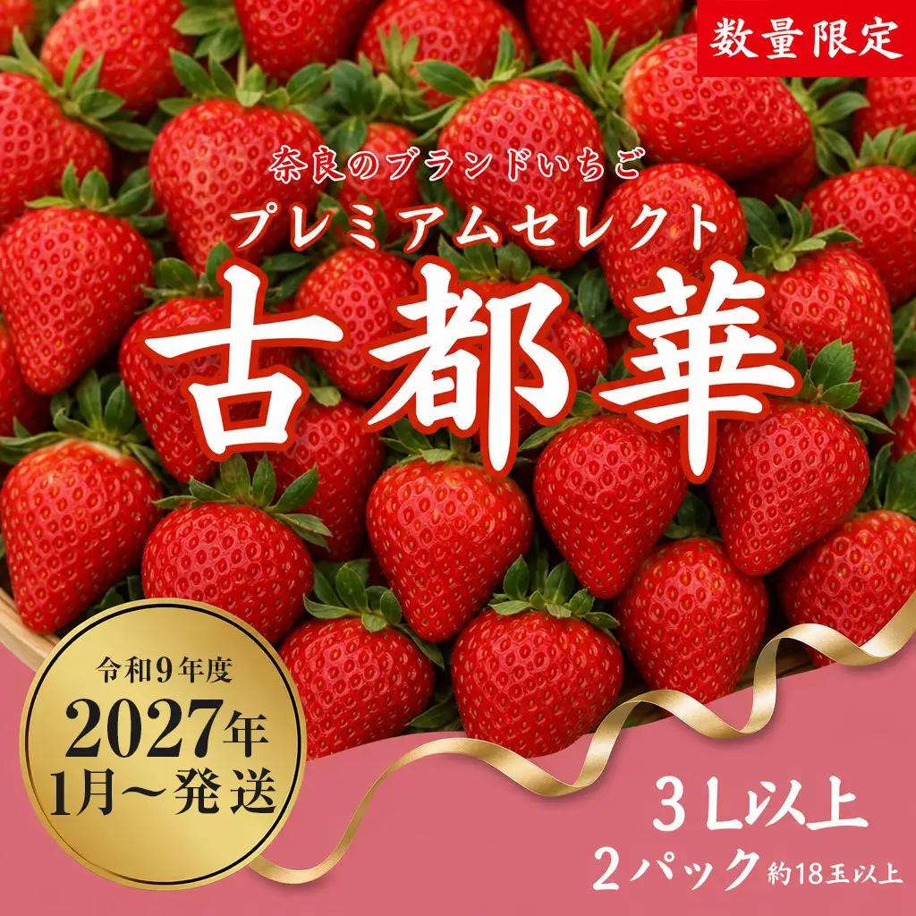 いちご 古都華 2P いちご【R9年1月～発送】