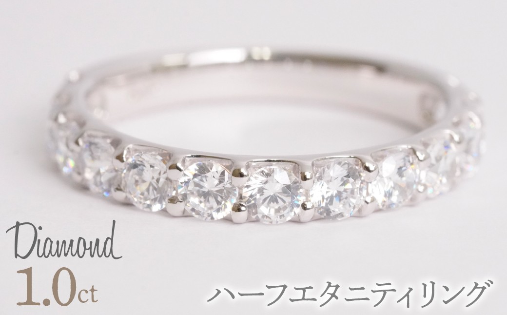 
                  トータル1.0ｃｔ ハーフエタニティリング  管理番号RTJ-031 246-006
                