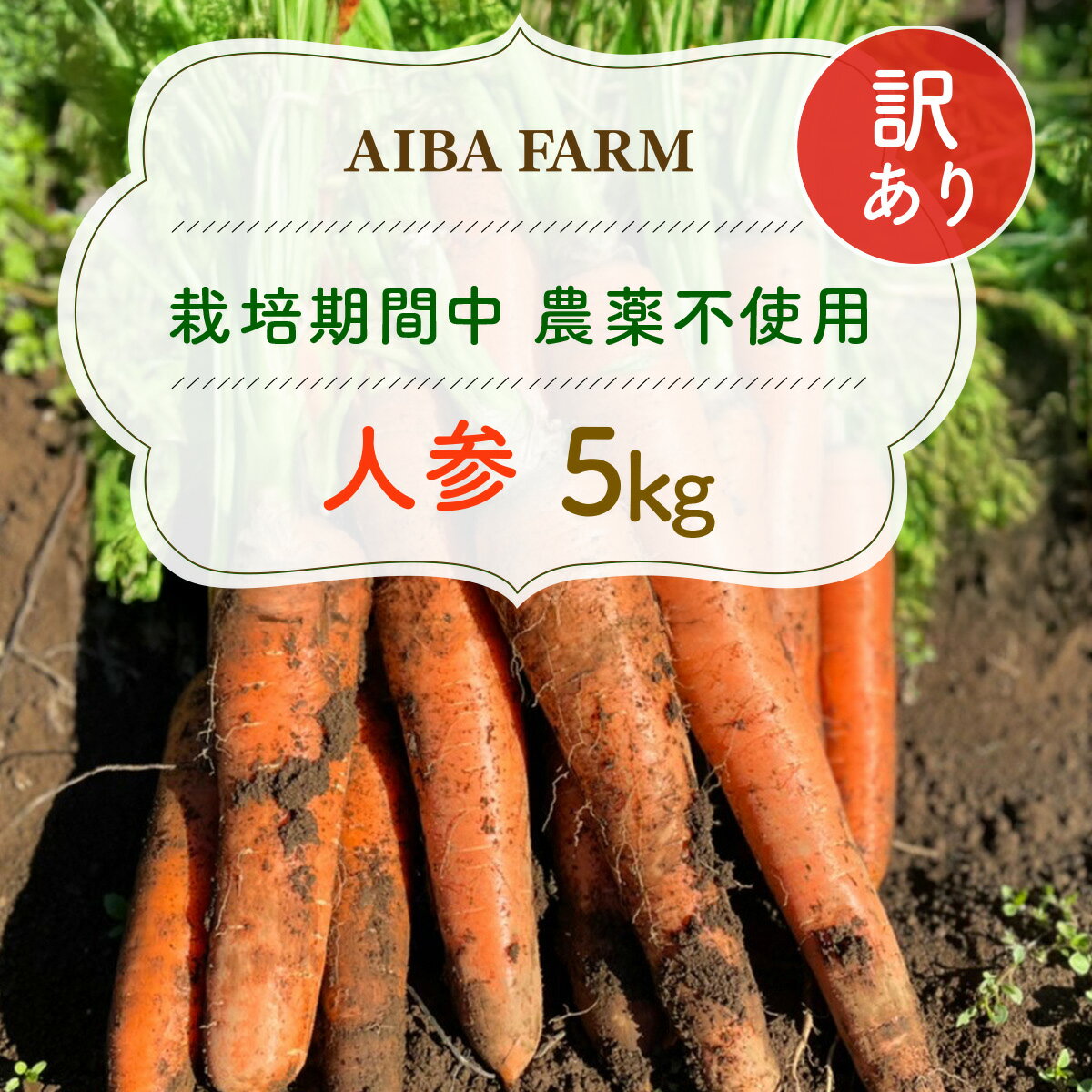 【ふるさと納税】【12月～2月発送】【栽培期間中農薬不使用】訳あり人参 5kg AIBA FARM　B品 / 野菜 にんじん 人参 ニンジン 特産 甘い 訳あり 不揃い B級 organic フードロス 千葉県 富里市 TML006