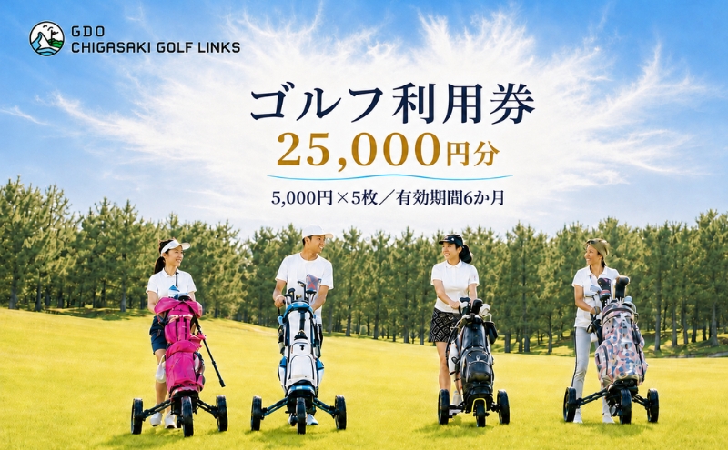 ゴルフ場 神奈川 GDO茅ヶ崎ゴルフリンクス 25,000円分　利用券 ゴルフ ゴルフ場利用権 ラウンド 運動 健康 スポーツ 自然 コース
