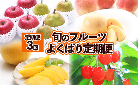 【定期便3回】旬のフルーツ　よくばり定期便　(2024年秋冬～2025年夏秋)  FZ23-676