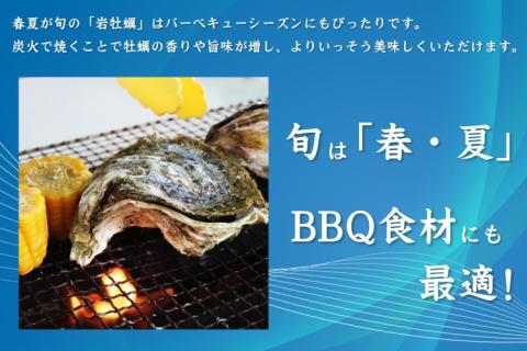 (12018)【定期便】岩カキ  1kg×3回 牡蠣 岩牡蠣 海のミルク 濃厚 クリーミー 夏バテ防止 冷蔵 冷凍 焼き 蒸し& 加熱 定期便  毎月3ヶ月