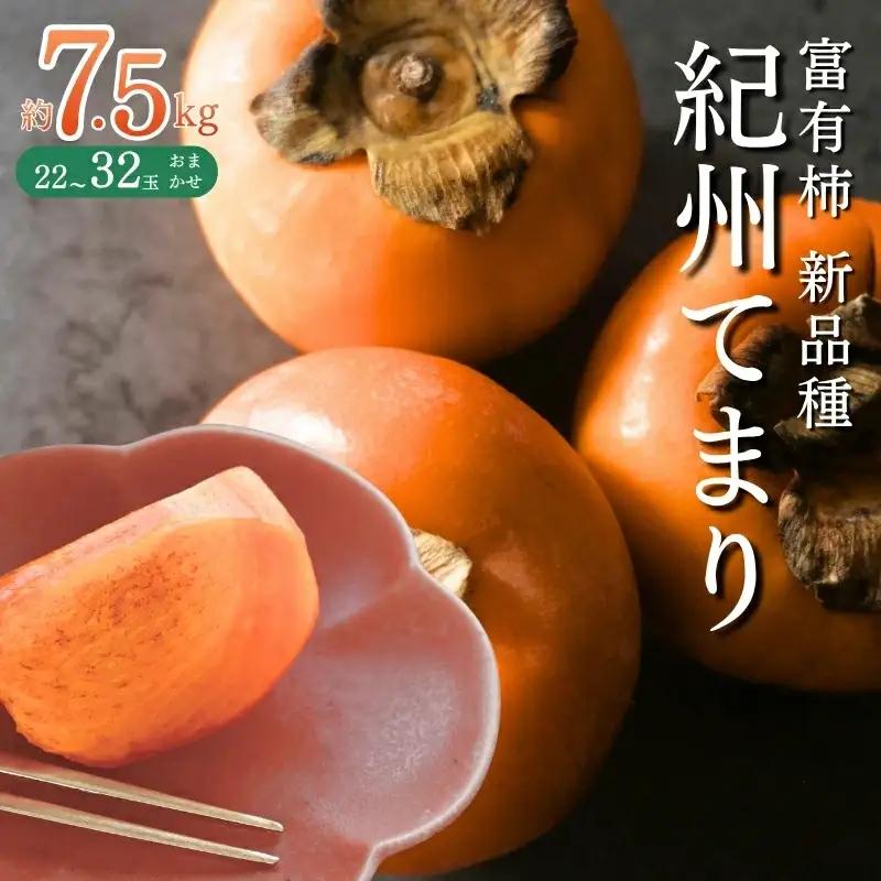 柿 富有柿の新品種「紀州てまり」約7.5kg（22玉～32玉おまかせ）［TM87］【TM024-tec976】