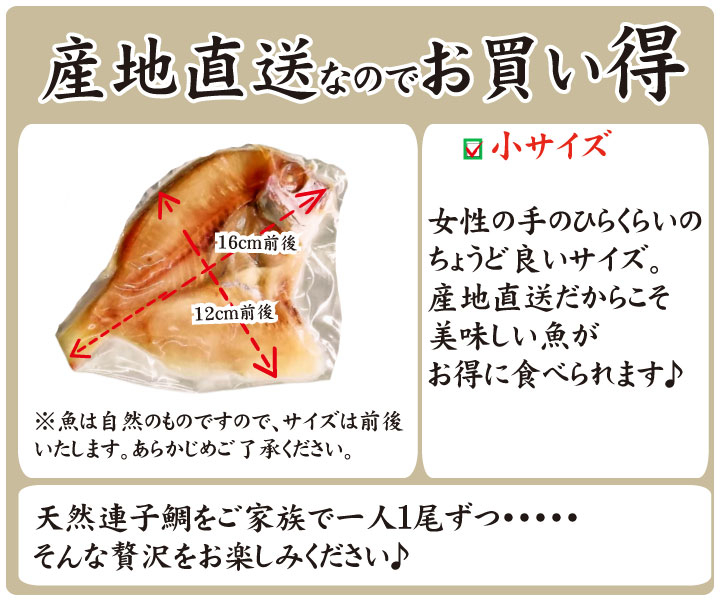 【7営業日以内発送】 天然 連子鯛 一汐干し 3枚 れんこ鯛 レンコダイ 干物 一汐干し 鯛 干物 鯛 開き 天然 連子鯛 国産 白身魚 干物 干物セット 脂のり ふっくら 海鮮 お取り寄せ 日本海産
