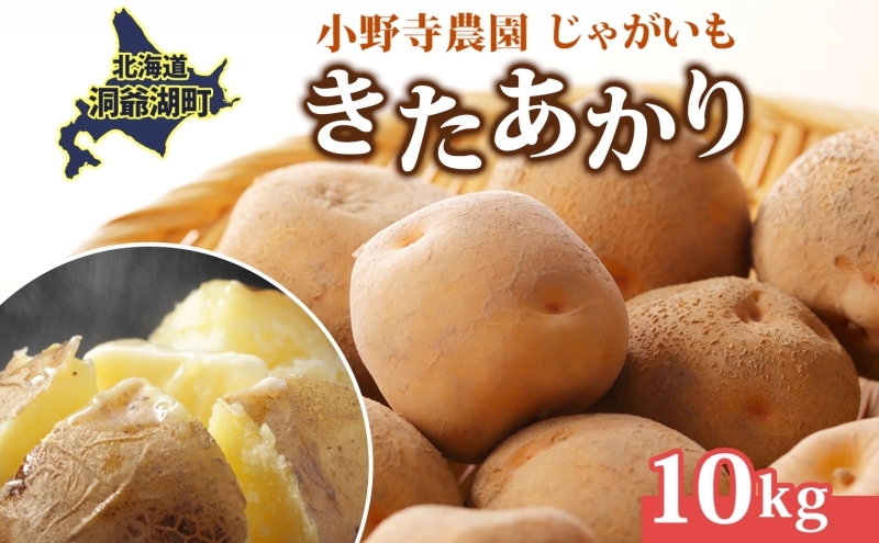 R8年産 先行受付 じゃがいも きたあかり 10kg 2026年9月下旬より順次出荷 栗じゃがいも ホクホク 甘い ポテトサラダ コロッケ 産地直送 お取り寄せ 国産 小野寺農園 北海道 洞爺湖町 