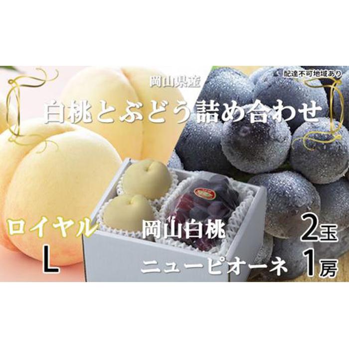 【ふるさと納税】桃 ぶどう 2025年 先行予約 岡山 白桃 ロイヤル 2玉×約200g（Lサイズ、早生種・中生種）ニュー ピオーネ 1房約400g 詰め合わせ 岡山県産 フルーツ | フルーツ 果物 くだもの 食品 人気 おすすめ 送料無料