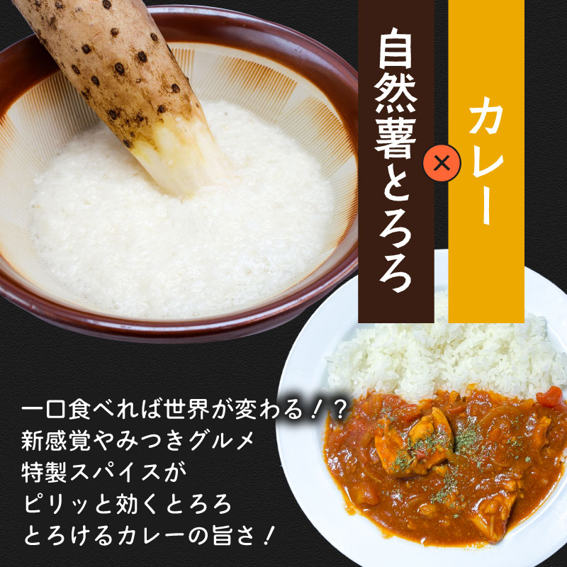 【ZIP!の「水卜あさみと一緒に朝ごはん」で紹介されました!】 とろろ 食べ比べ グルメセット 100g × 6種 計600g 山芋 自然薯 じねんじょ ご飯 健康 栄養 夏バテ 個包装 小分け お取
