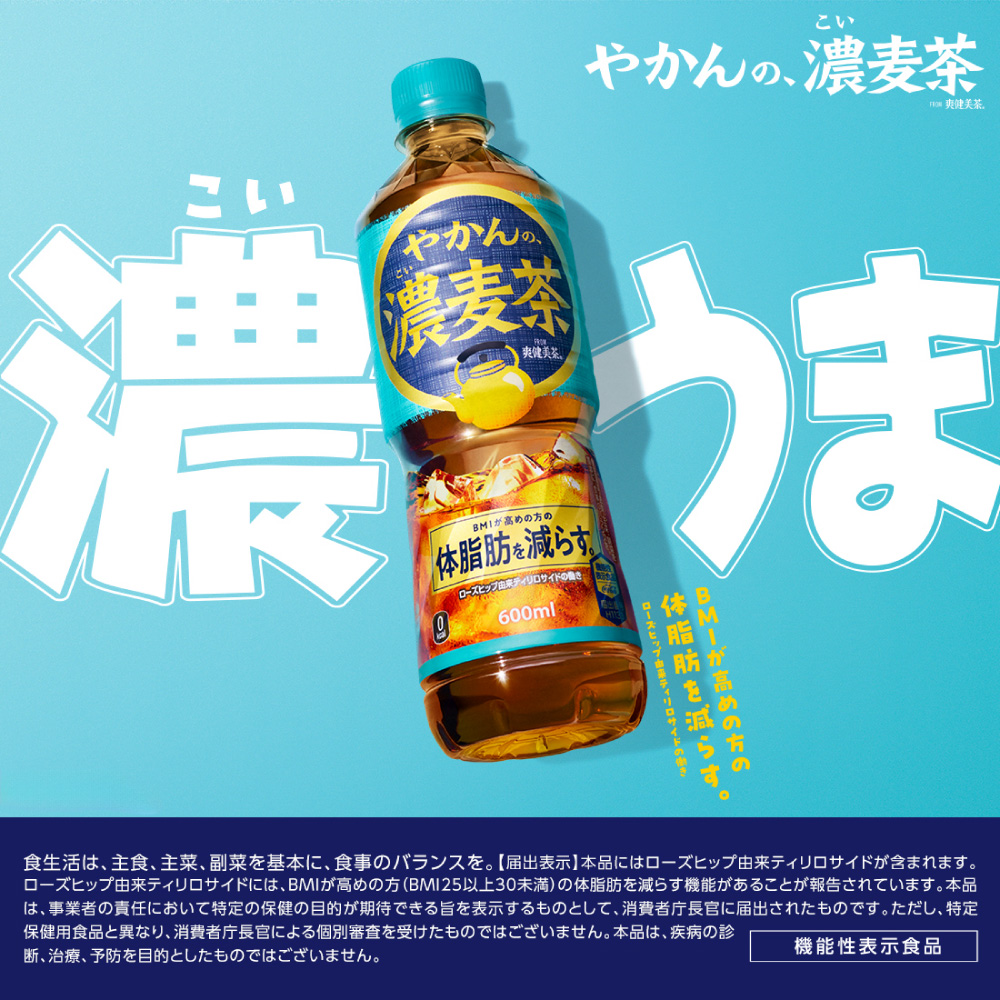 【2ヶ月定期便】やかんの濃麦茶 from 爽健美茶 600mlPET×48本｜コカ・コーラ 飲料 ドリンク 飲み物 お茶 北海道 札幌市