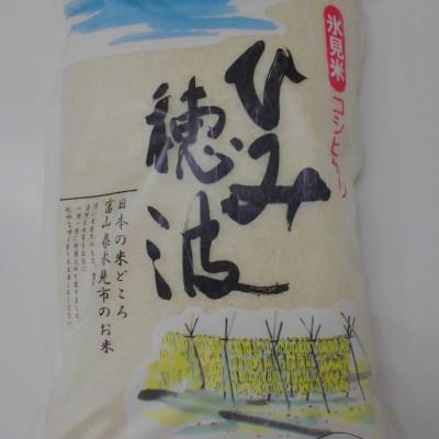 ふるさと納税 氷見市 令和8年産 氷見産こしひかり ひみ穂波5kg