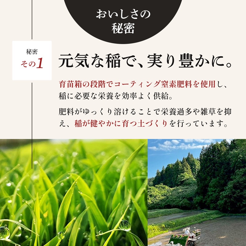 ひとめぼれ 定期便3回/5kg×1 令和7年産 宮城県産 米 精米 白