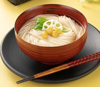 塩麦熟成法特許出願中 稲庭手延饂飩 黄金 TI-50【(株)後文】[B5-9402]