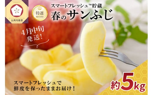 【2026年4月中旬発送】りんご春のサンふじ特選 5kgスマートフレッシュTM貯蔵